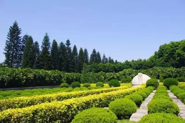 广州羊城通在哪些城市可以用,广州市现在还能用羊城通吗