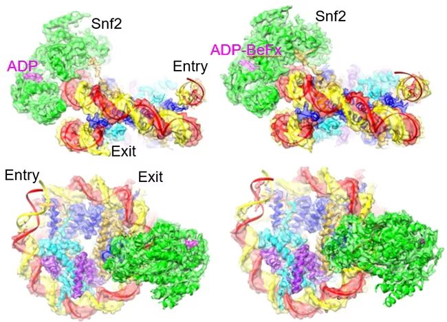 最新科研成果查询,生物材料前沿科研成果