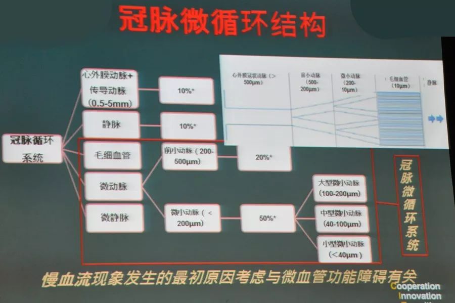 冠状动脉微血管病变治疗指南,谢萍医生好不好