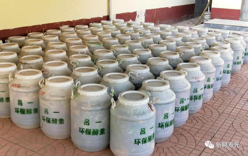 绾彴鑿滃啘,瀵垮厜绾彴鑿滃啘