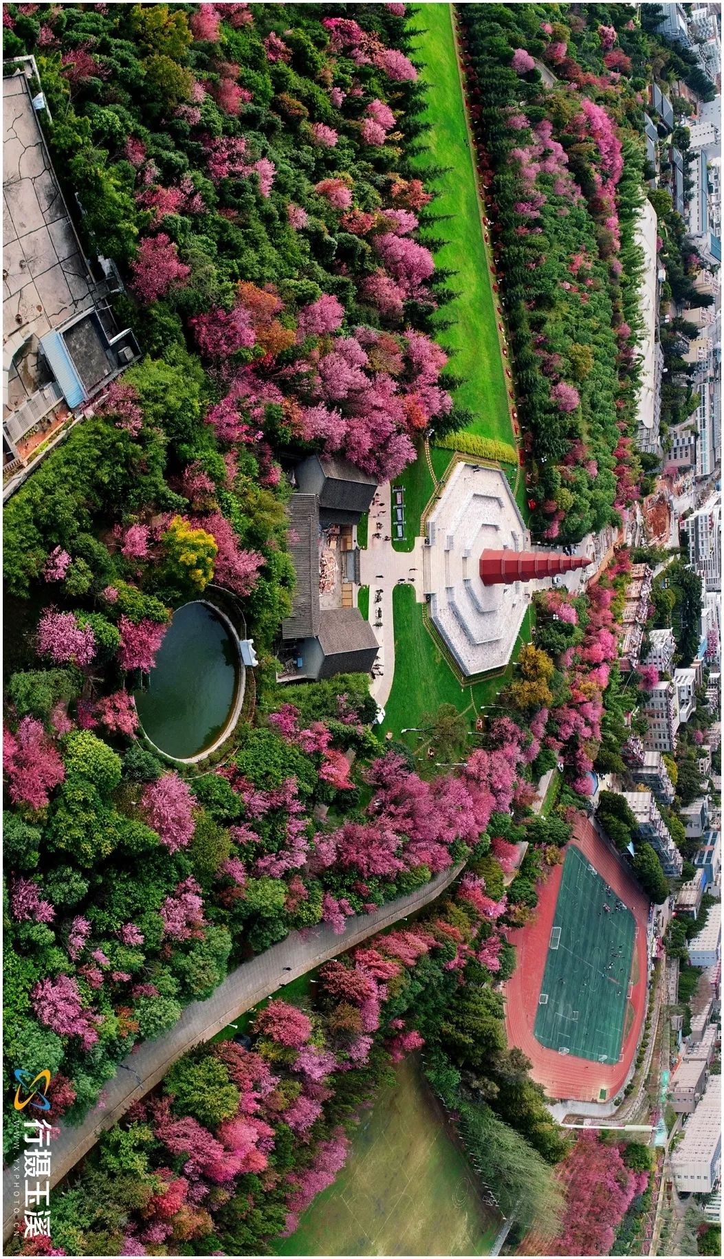 玉溪赏花游玩好地方推荐胜地,哇家玉溪