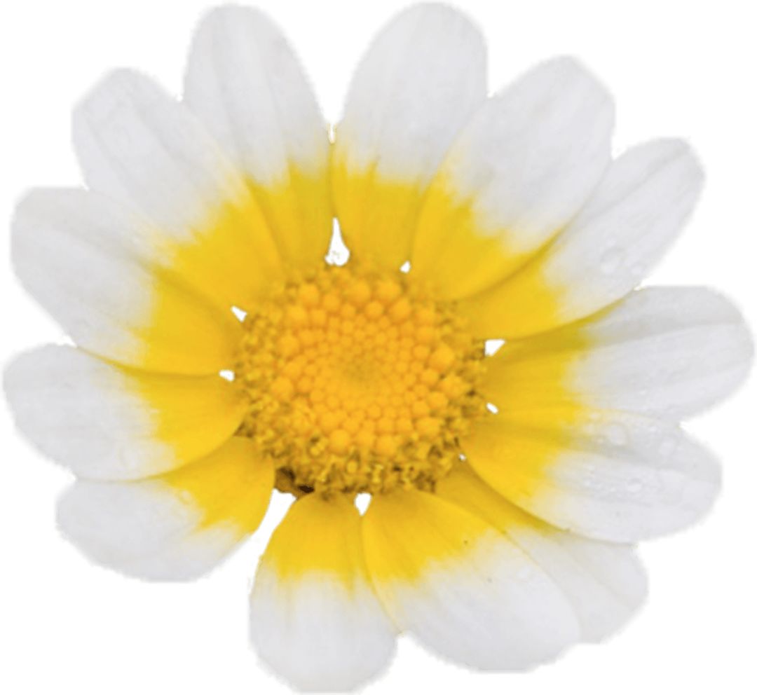 武汉女性夜读,夜读女生