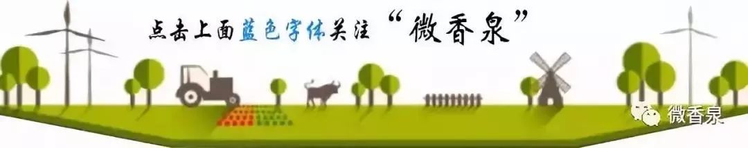 国家专项计划甘肃各高校录取分数,甘肃省可以报高校专项计划的县