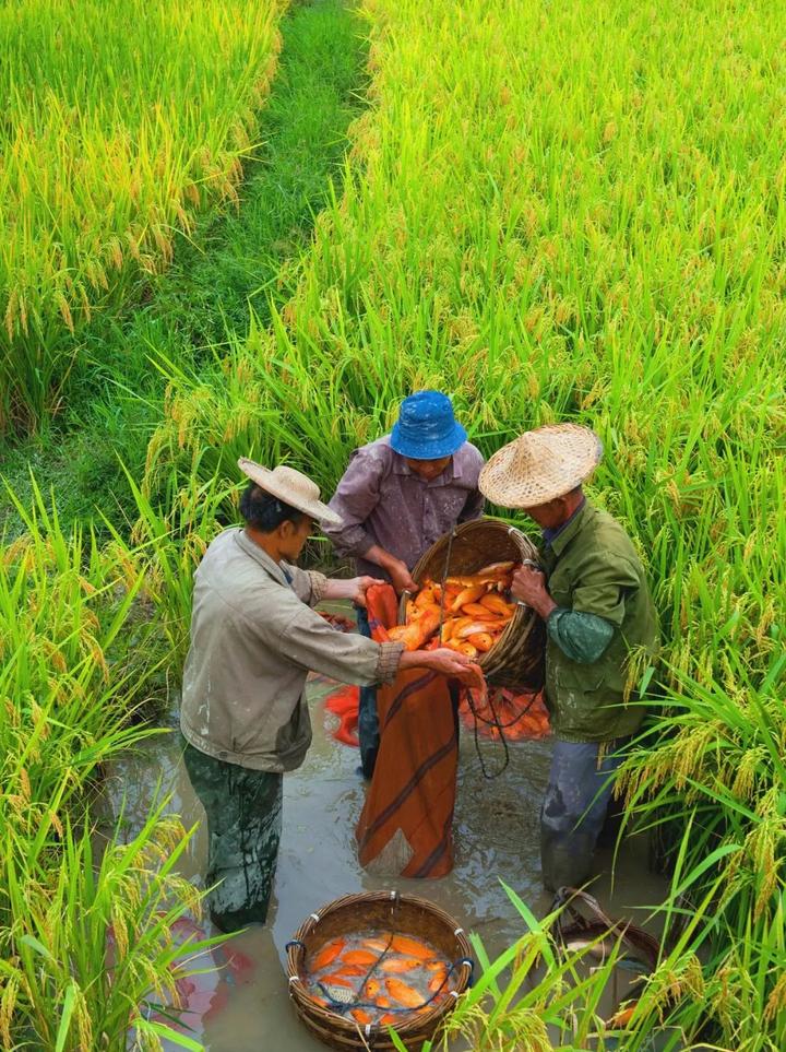 清明3天自驾游推荐路线,2024年清明高速免费时间