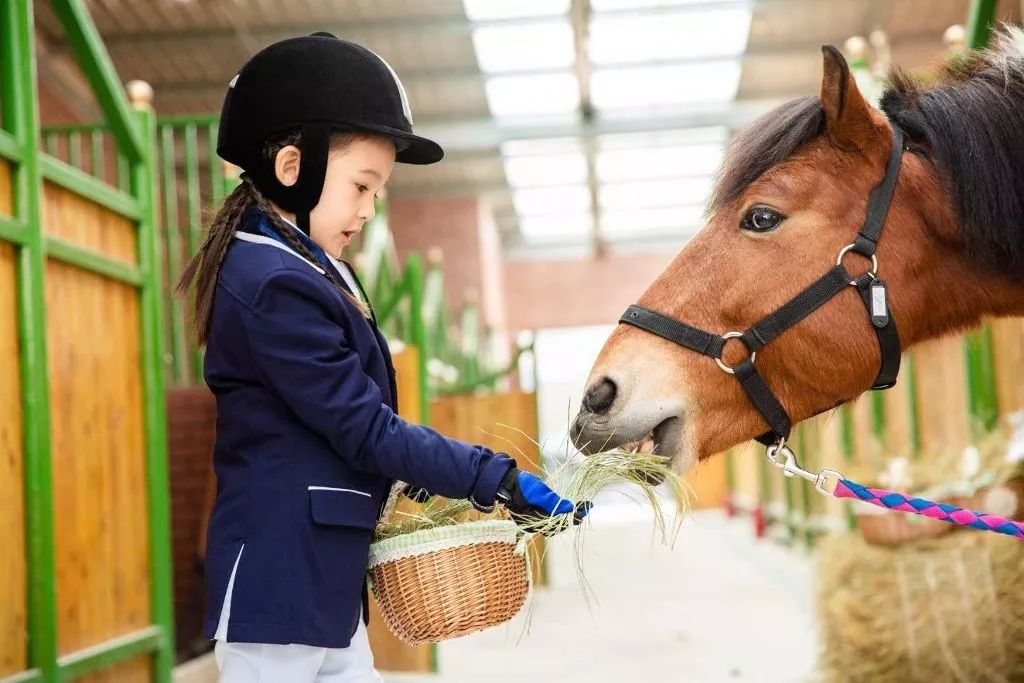 缁忓紑鍖哄ぇ浜嬩欢,瑗垮畨缁忓紑鍖哄ぇ浜嬩欢