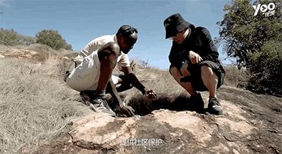 跟刘昊然在非洲过了6天5夜,发现他其实就是个话痨加多动症啊……