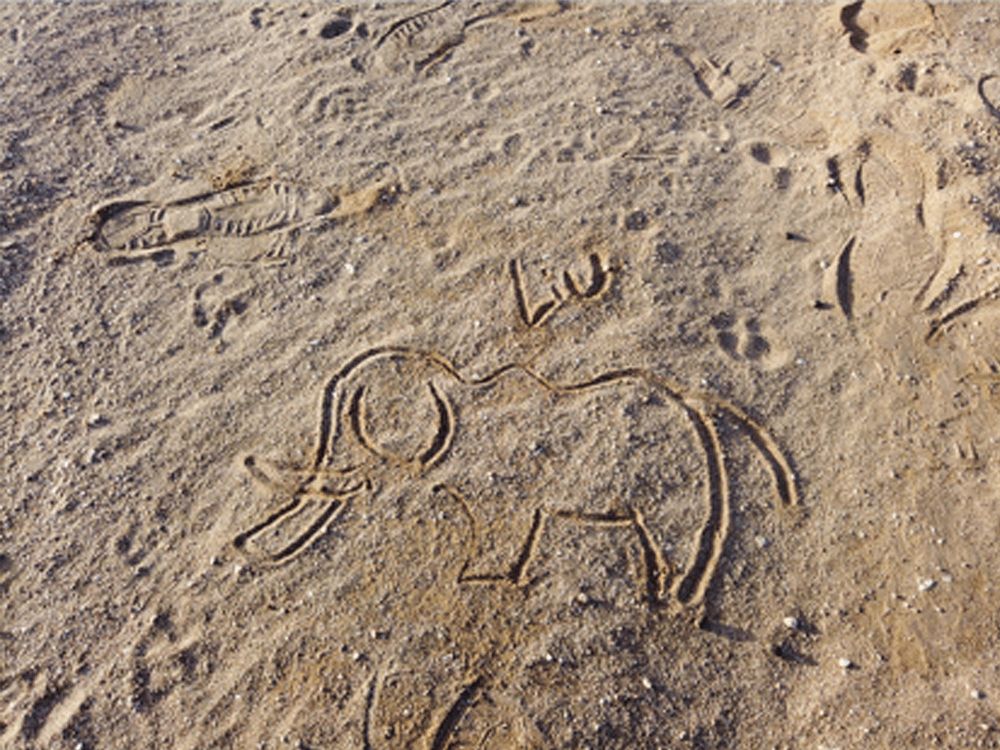 跟刘昊然在非洲过了6天5夜,发现他其实就是个话痨加多动症啊……