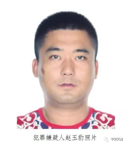 天津黑恶势力通缉15人名单,天津十大涉黑通缉犯