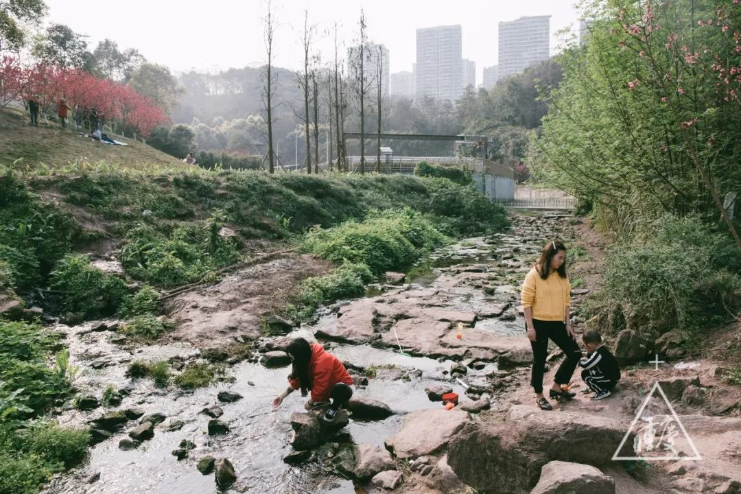 重庆最新旅游大全,重庆全集免费观看