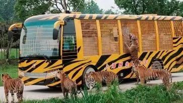 上海魔都景区,上海魔都必去景点免费