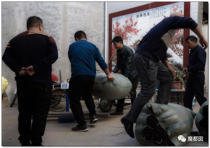 小提琴特色小镇,中国小提琴特色小镇