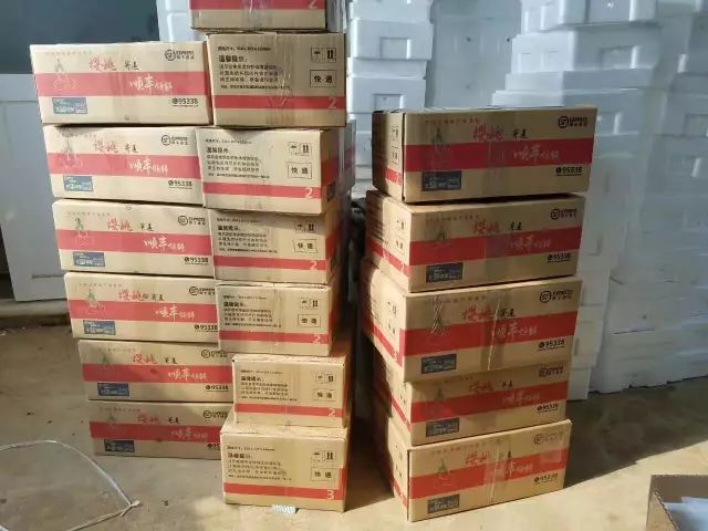 前国门安琦家的樱桃又来啦！为了孩子，他用守护球门的双手，种出了汁多甘甜的超好吃樱桃