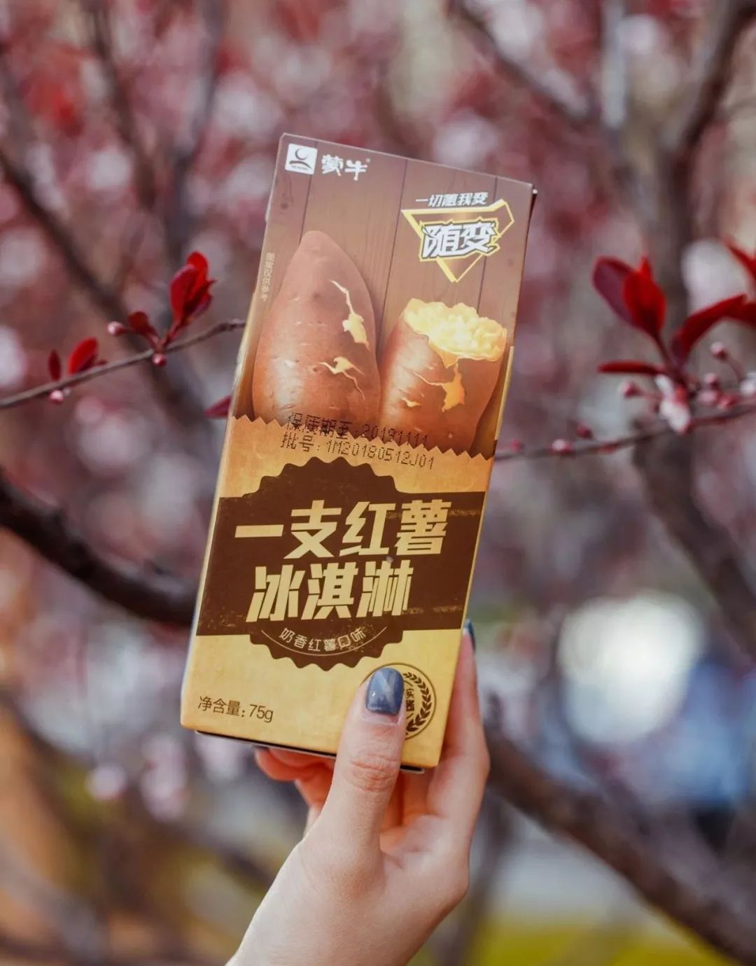 7.11便利店什么雪糕值得买,适合便利店的雪糕