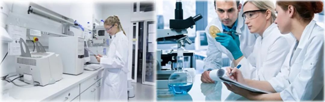 媲美大牌的平价面霜，不到一个月让我白了两度，连斑都看不见了！