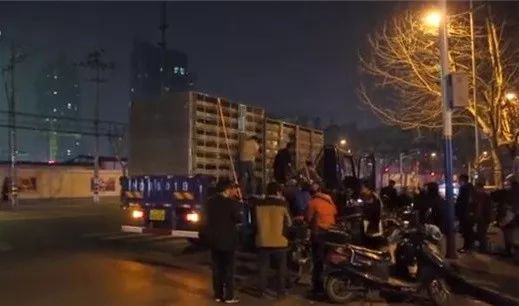 上海养鸽人视频,养鸽子上海人