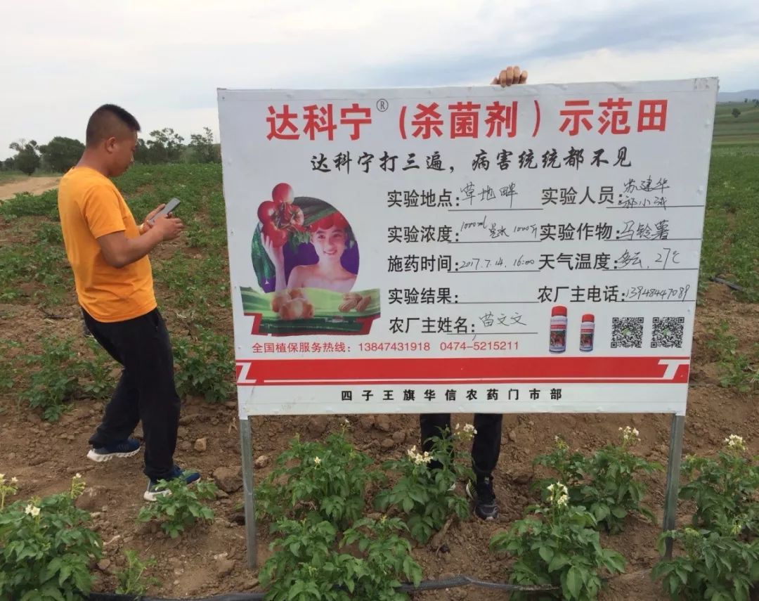 达科宁杀菌剂,达科宁百菌清杀菌剂