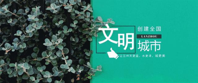 舌尖上的特色菜名有哪些,兰州十大名菜陇菜新菜有哪些