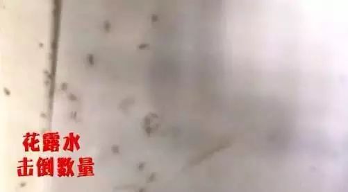 户外溜达一圈回来身上痒怎么办,出门一趟回来浑身痒