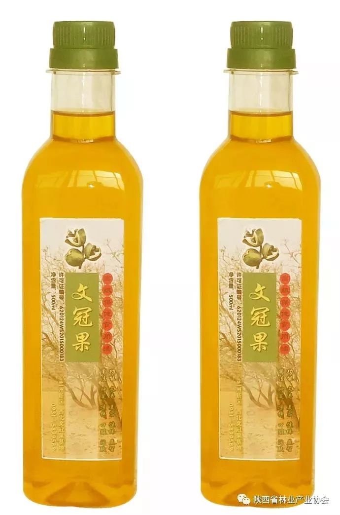 木本油料品种,中国高端木本油料