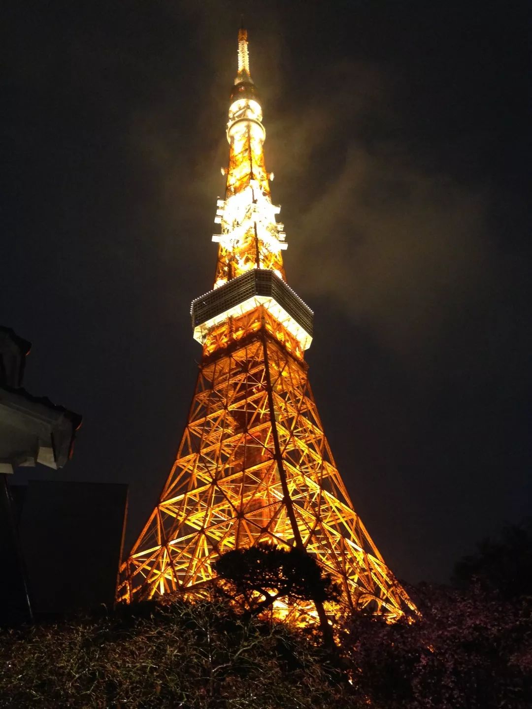 招募丨2019暑期精品小团，蒲蒲兰带你去见宫西达也！