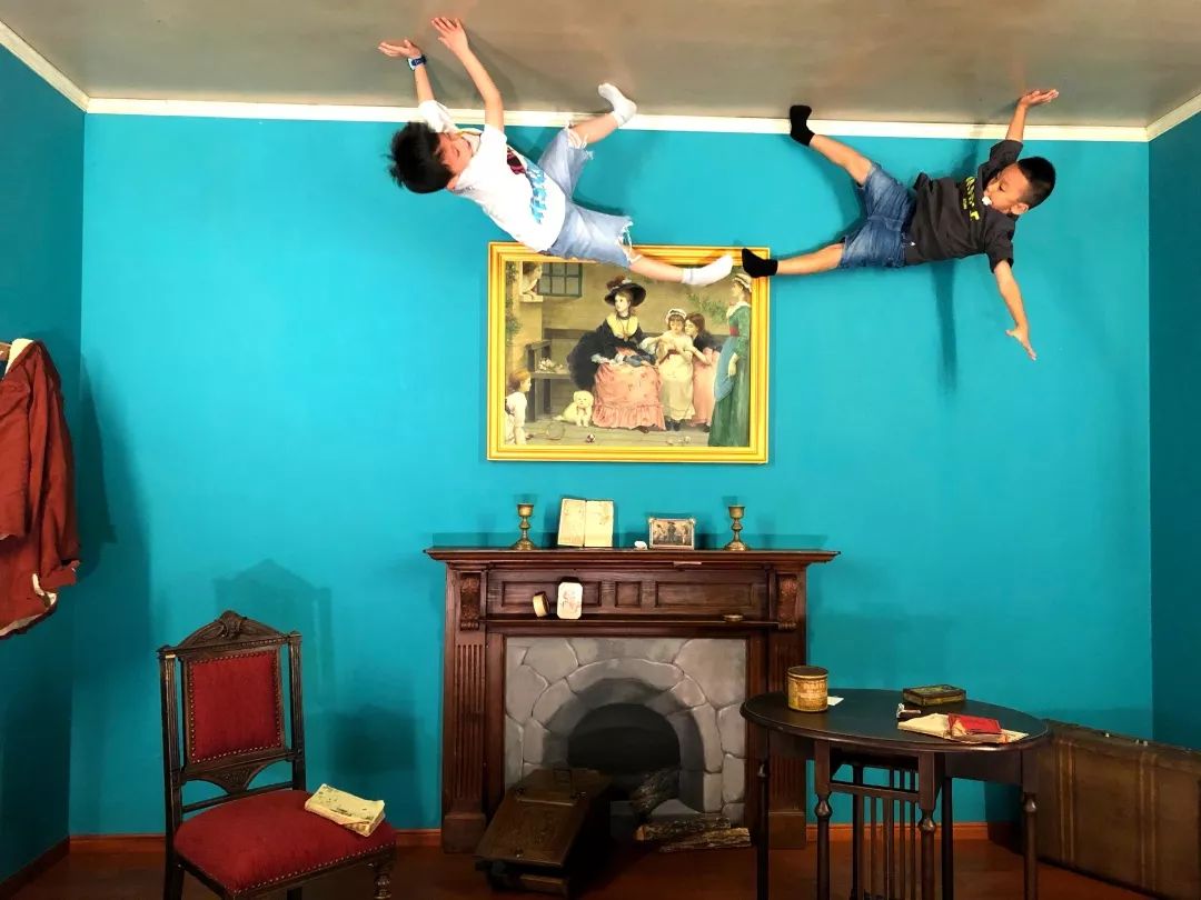 招募丨2019暑期精品小团，蒲蒲兰带你去见宫西达也！