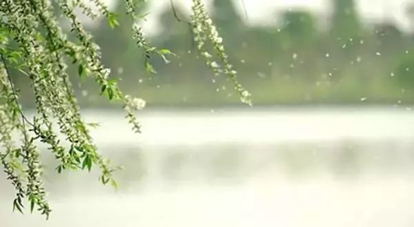 柳絮飘飞的日子如何防过敏,柳絮满天飞过敏人怎么办