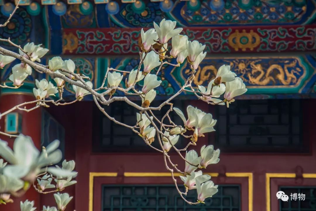 中国古典园林之美,都说岭南风景美如画