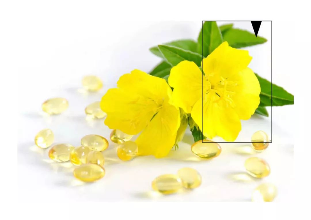 斯维诗蔓越莓真的治妇科病吗,蔓越莓治妇科病