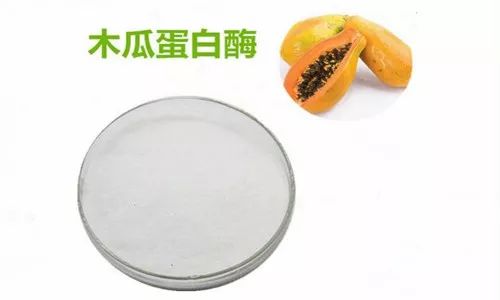 嫩肉粉到底健康吗,嫩肉粉到底有多可怕