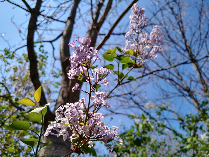 摩托罗拉g7plus6gb+测评,摩托罗拉g7plus上市价格