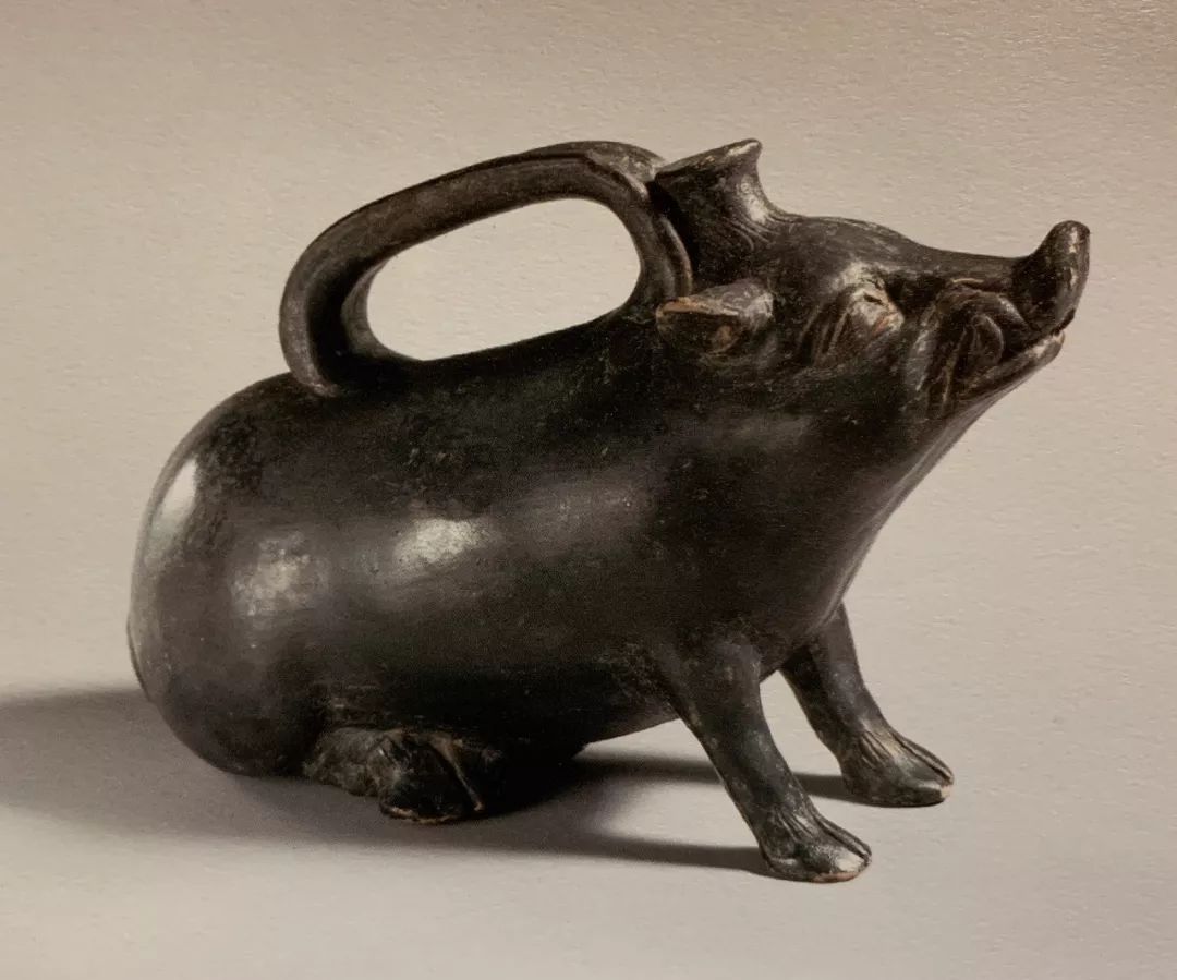 野猪的“世界史”,也是一部《权力的游戏》