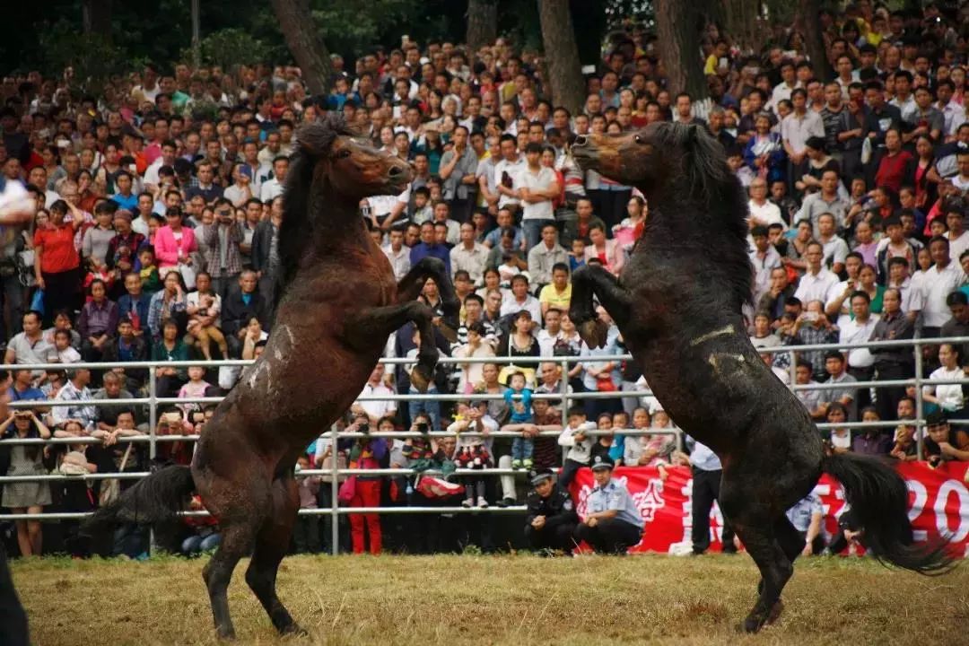 头条丨在这里，你不用穿越人山人海，也能跨过山和大海——广西9条精品旅游线路重磅推荐