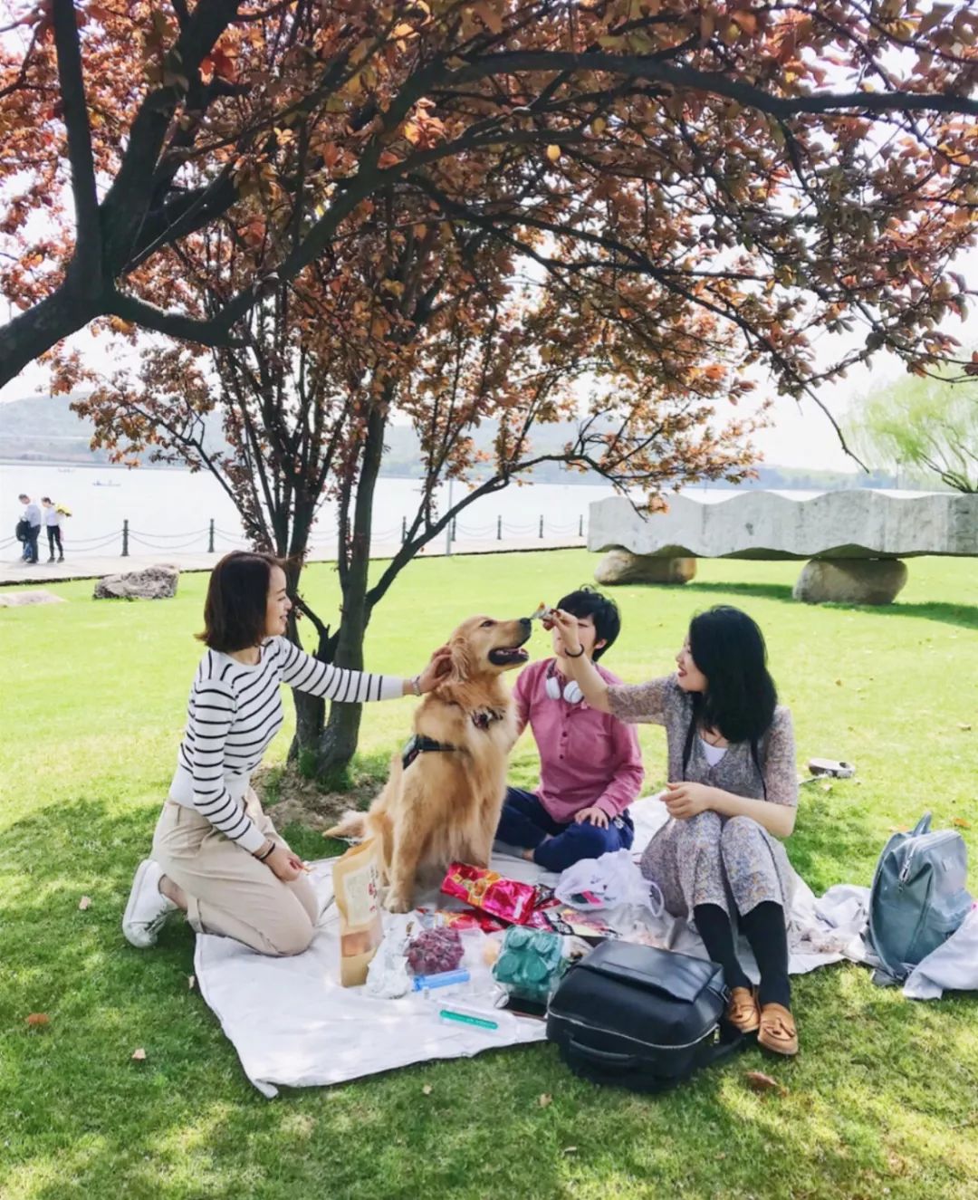 上海魔都景区,上海魔都必去景点免费