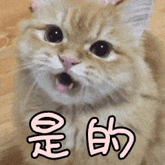 无锡名医给女患者开特殊处方就这五个字……老公看了作何感想