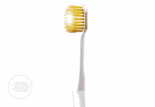 适合刷大牙的牙刷,好用不伤牙齿的电动牙刷推荐