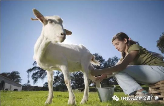 维秘模特的养颜秘方，1天1杯，美白养颜胜燕窝