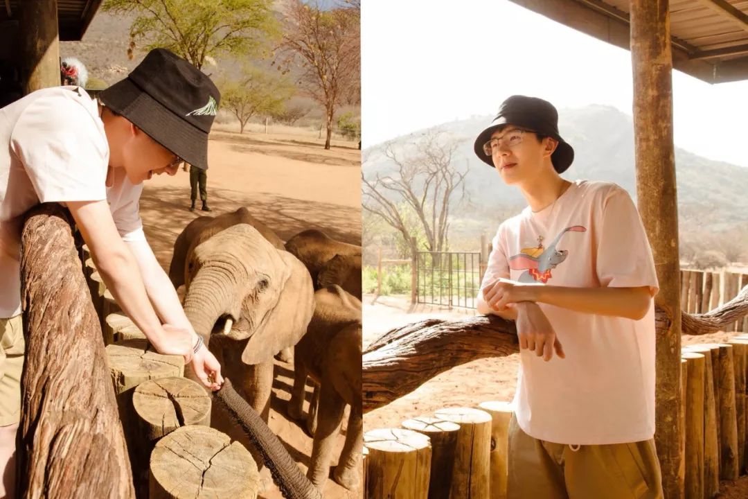 让爱豆们集体卖萌的二次元角色，到底是何方神圣？！