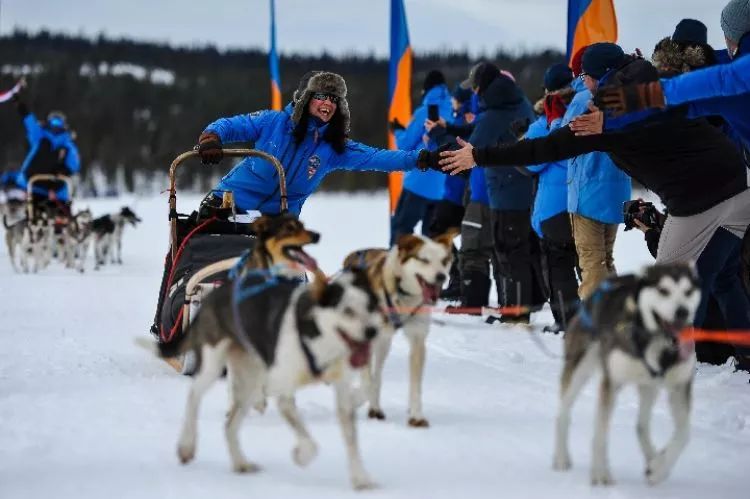 推荐丨瑞典:户外爱好者驾驶狗拉雪橇穿越极地