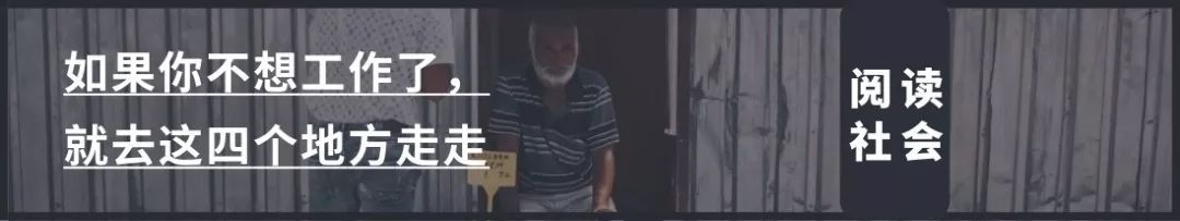 郑渊洁驯兔记全集在哪看,看完郑渊洁的驯兔记你有什么感想