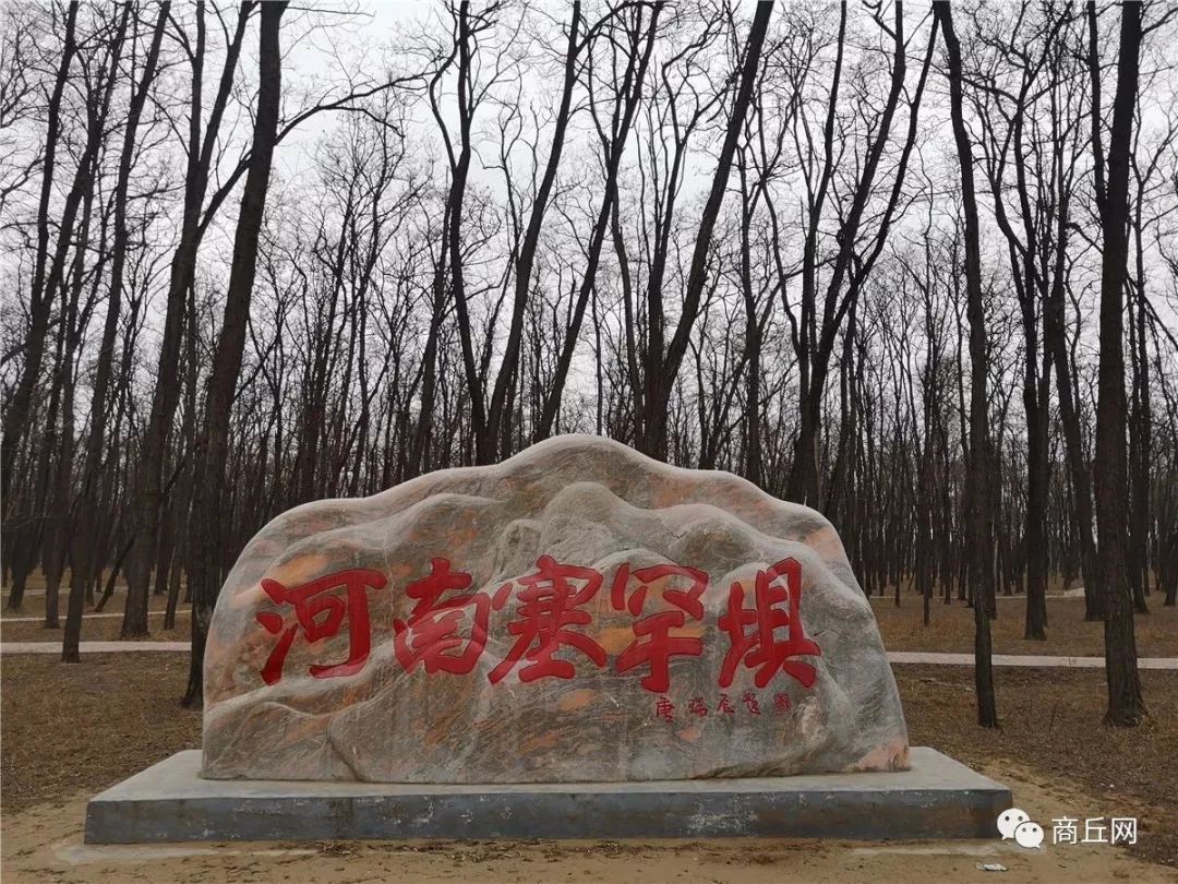 黄河故道50公里越野赛,徒步穿越黄河故道