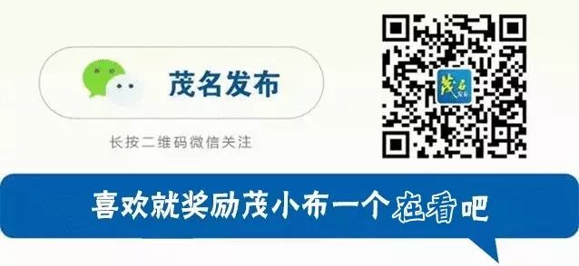 茂名市经济情况表格,茂名经济发展的最新状况