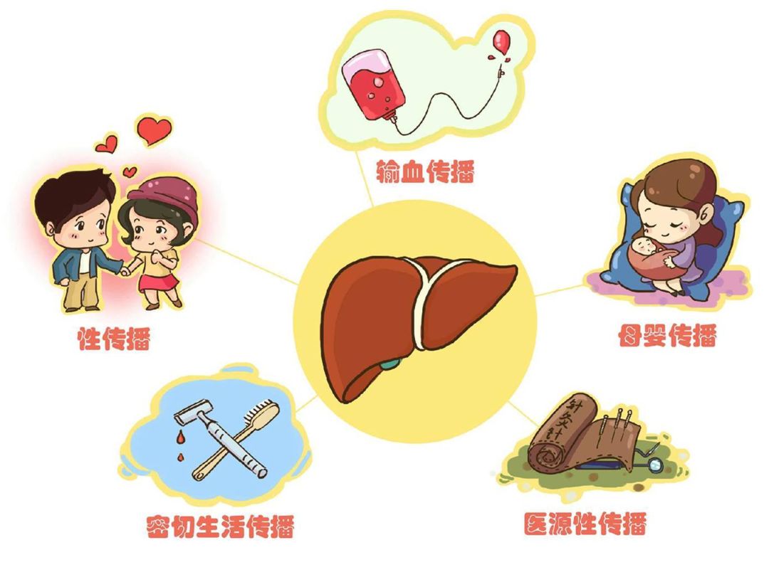 慢性乙肝防治指南的解读,慢性乙肝病人寿命