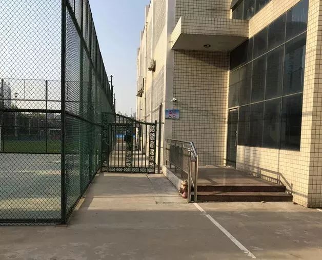 2021年郑州中考体育考什么项目,郑州2020中招体育考试地点安排