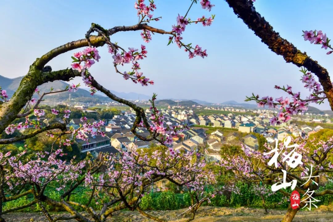 最美梅山,美丽南安梅山