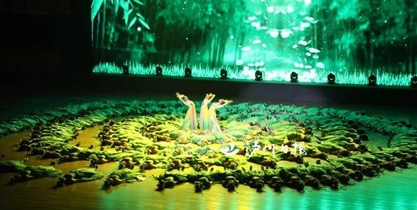 第四届老年人健身大会四川队,全国老年人运动会泸州开幕式