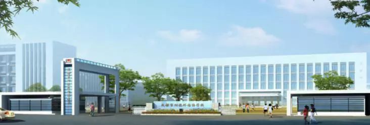 成都摇号第一顺位和第二顺位,成都小升初大摇号详解家长必读