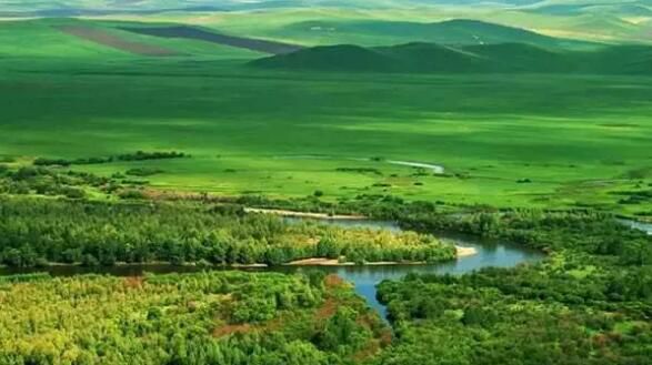 赞牛原切牛排,赞牛最好的一首诗