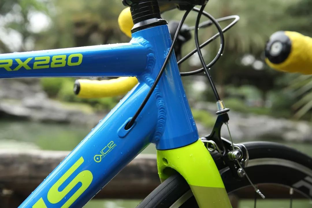 喜德盛rx280和美利达斯特拉93,速比特triton和喜德盛rx280