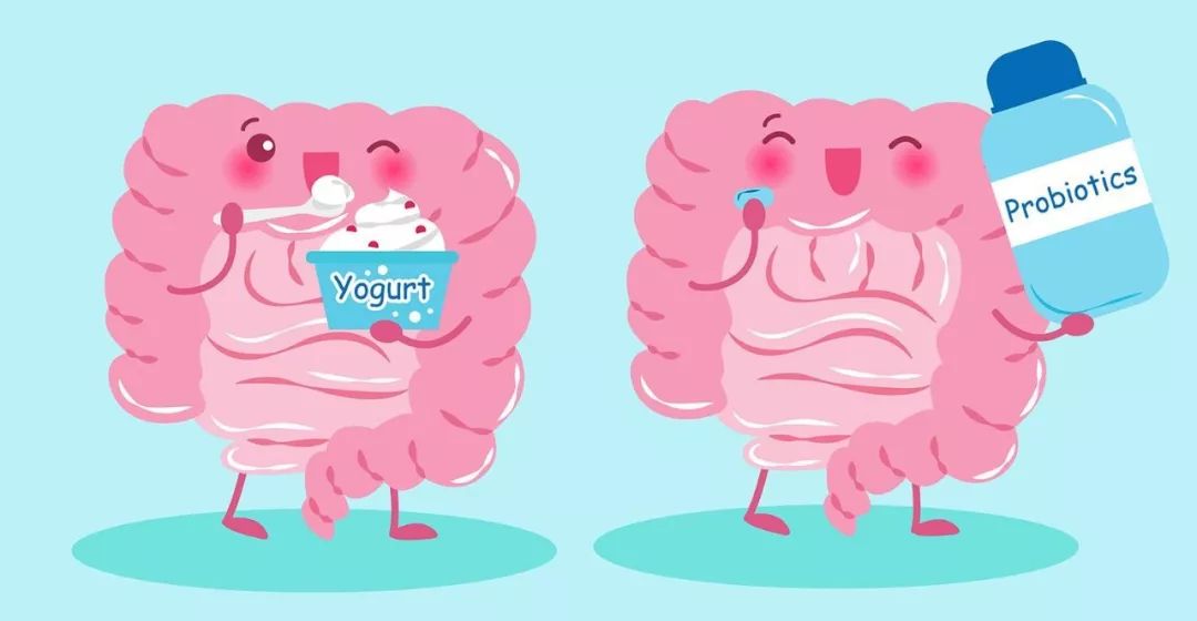 宝宝肠道菌群怎么来的,宝宝肠道菌群紊乱的后果