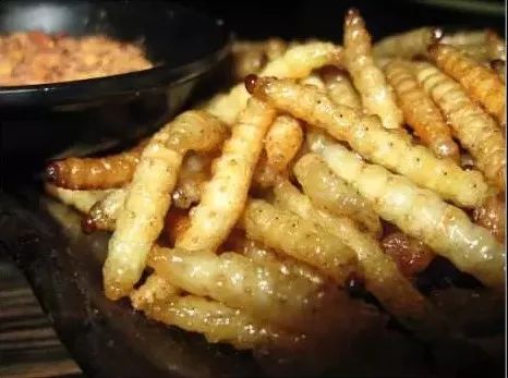 吃虫的怪物,吃虫虫真实视频